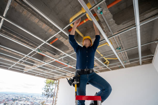 Best Local Plumber Services  in Carbondale, CO